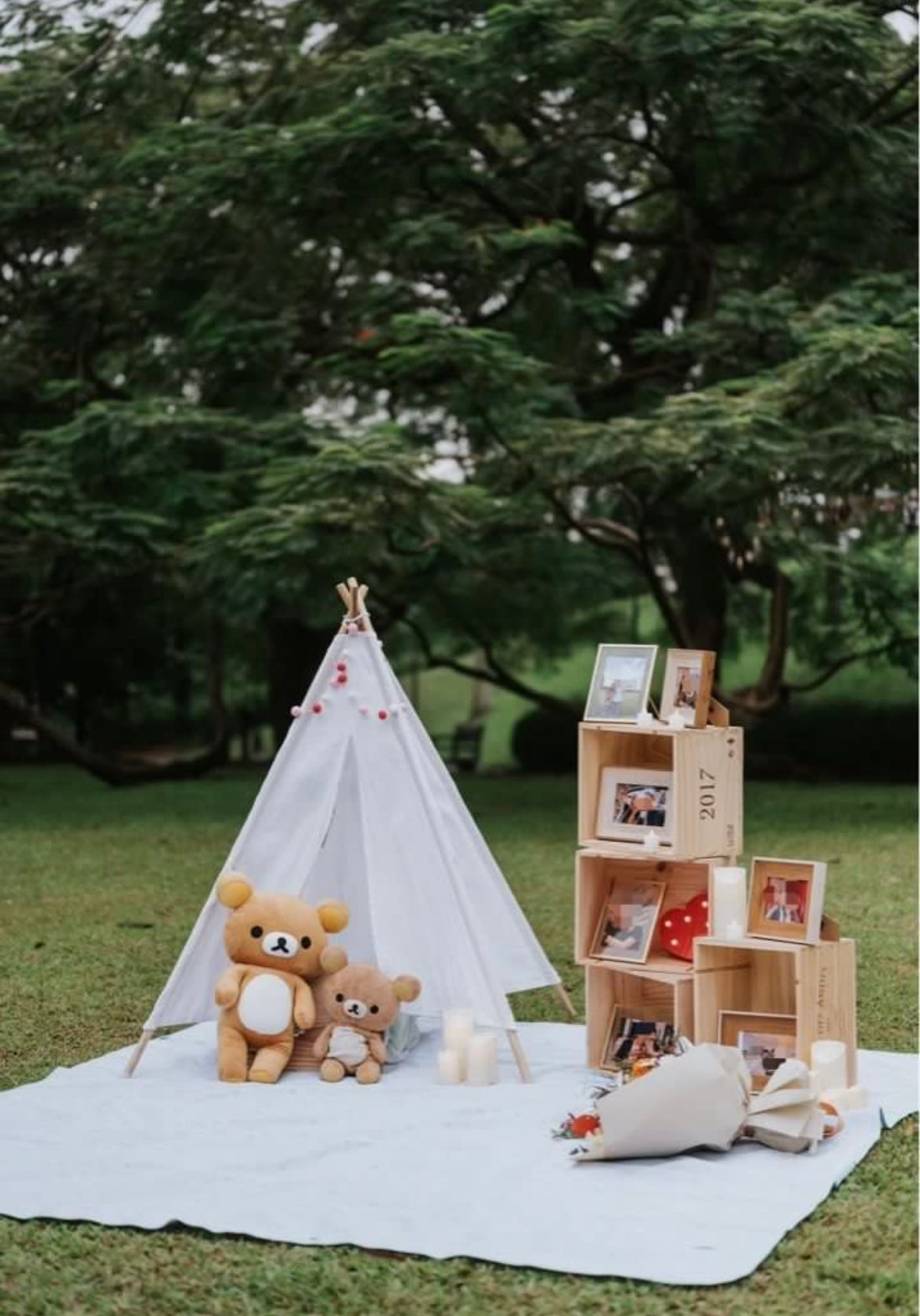 Proposal Rental Set - Outdoor (FREE Photos Printing!)